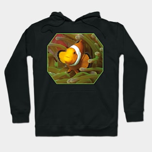 Anemone fish | I'm living here! | Hoodie